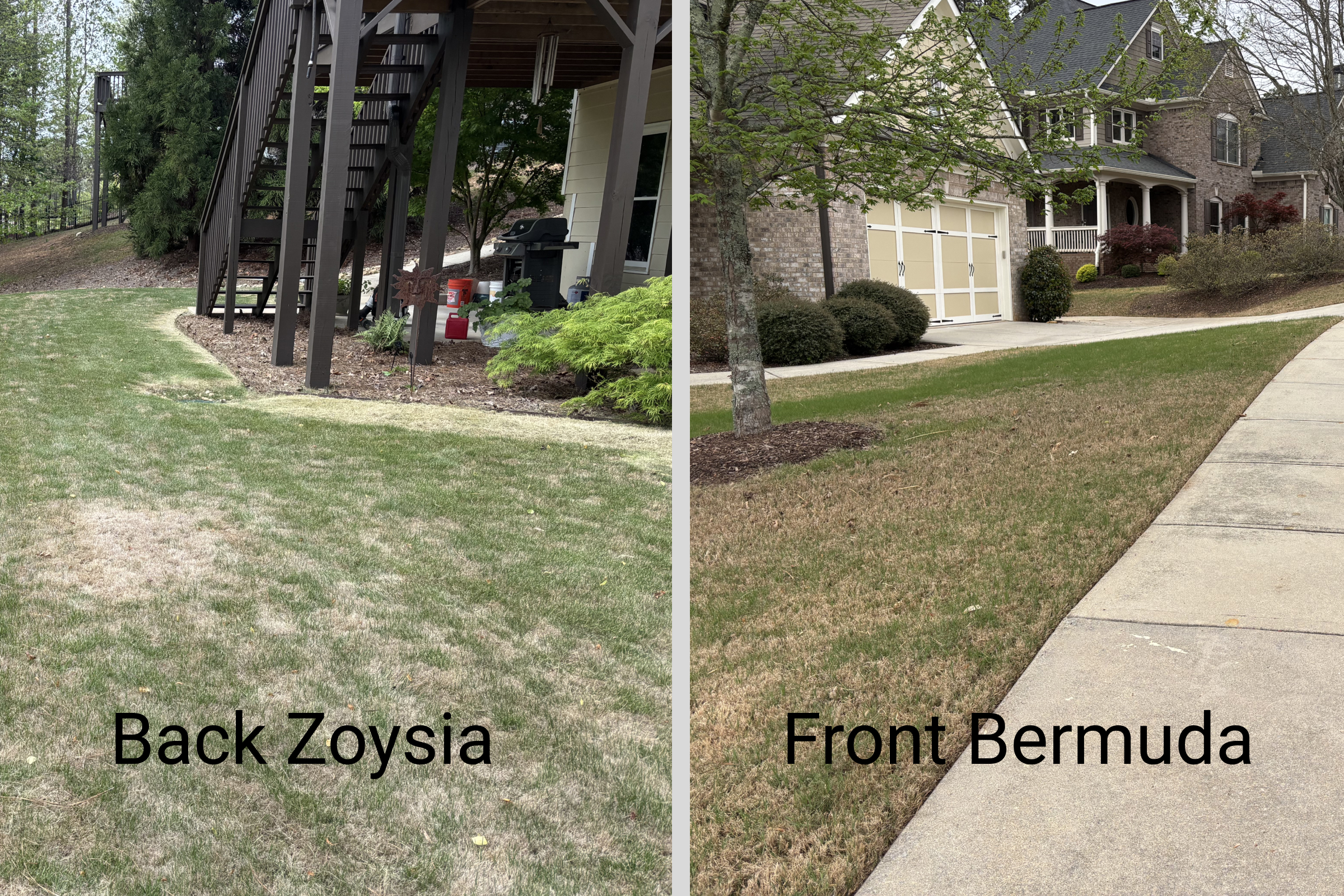 Before Lawn Scalping